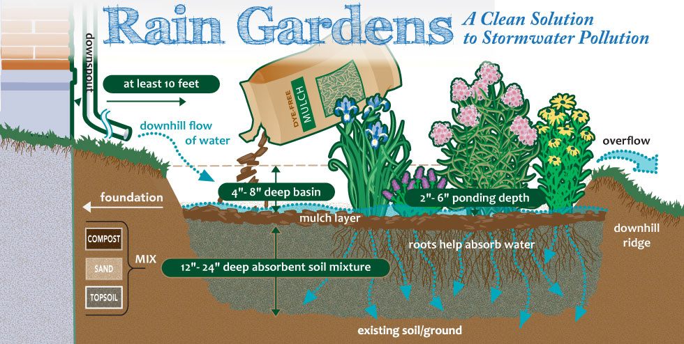 How to Design a Rain Garden